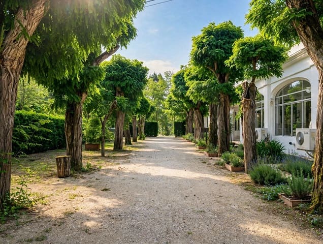 Ubebygd land til salgs i Barcelona by - € 950 000 (Ref: 9988205)