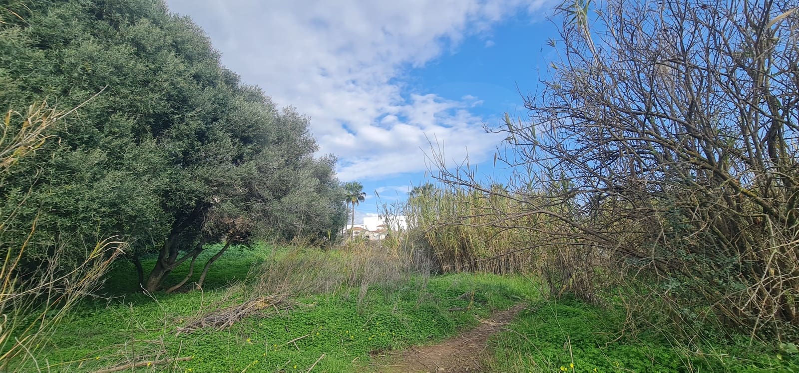 Bouwgrond te koop in Las Lagunas de Mijas - € 892.000 (Ref: 9988254)
