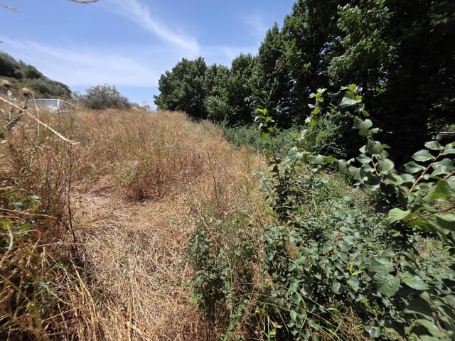 Finca/Landehus til salg i Calasparra - € 29.000 (Ref: 9988262)