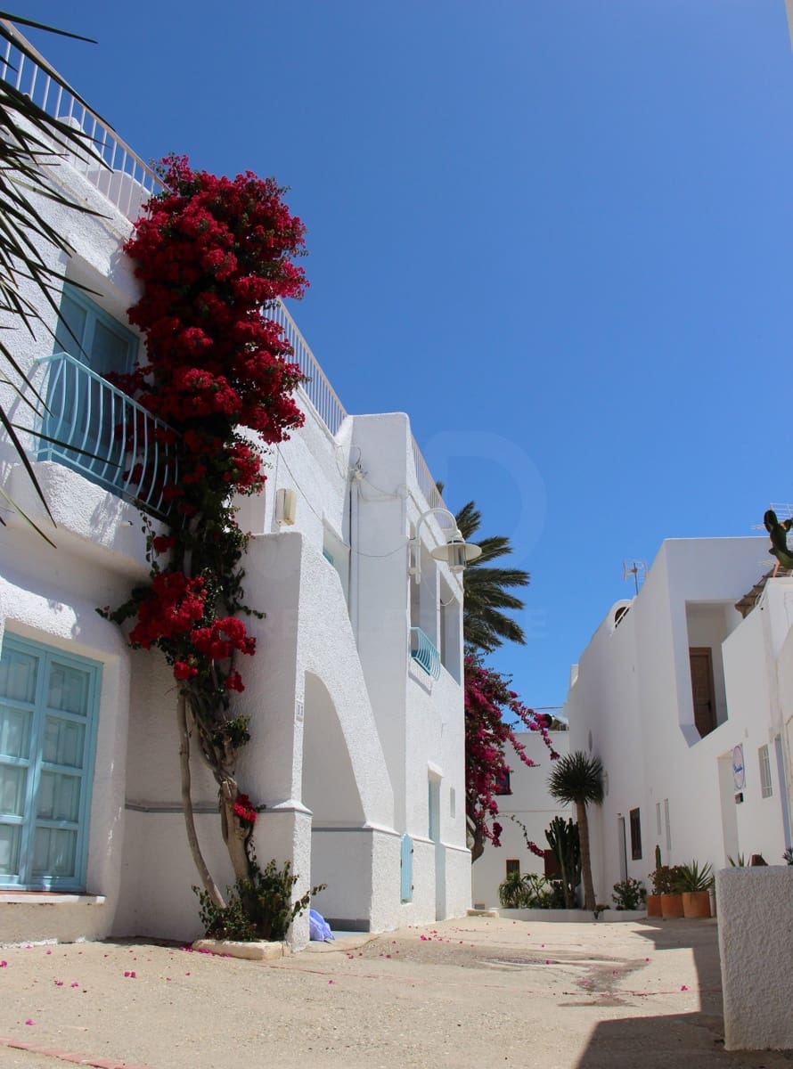2 Zimmer Reihenhaus zu verkaufen in Nijar - 470.000 € (Ref: 9988275)
