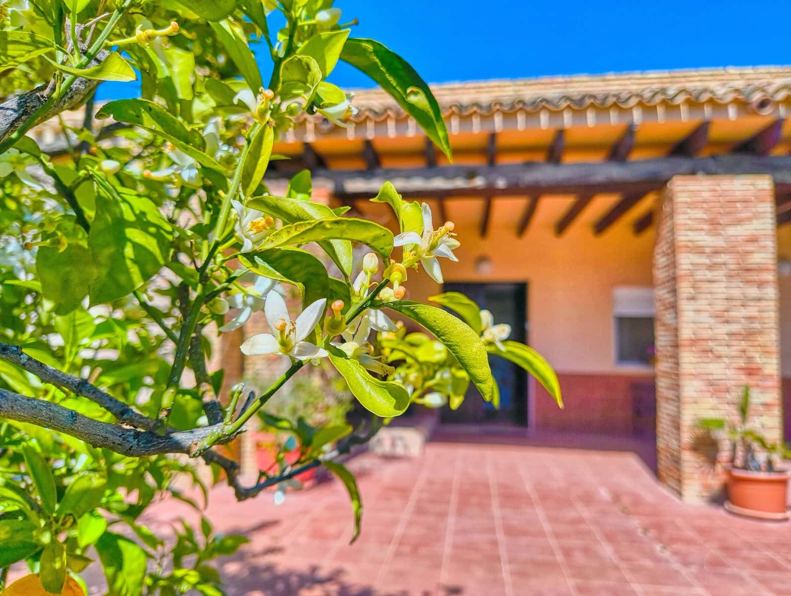 5 soveværelse Byhus til salg i Las Bayas med swimmingpool garage - € 649.000 (Ref: 9988313)