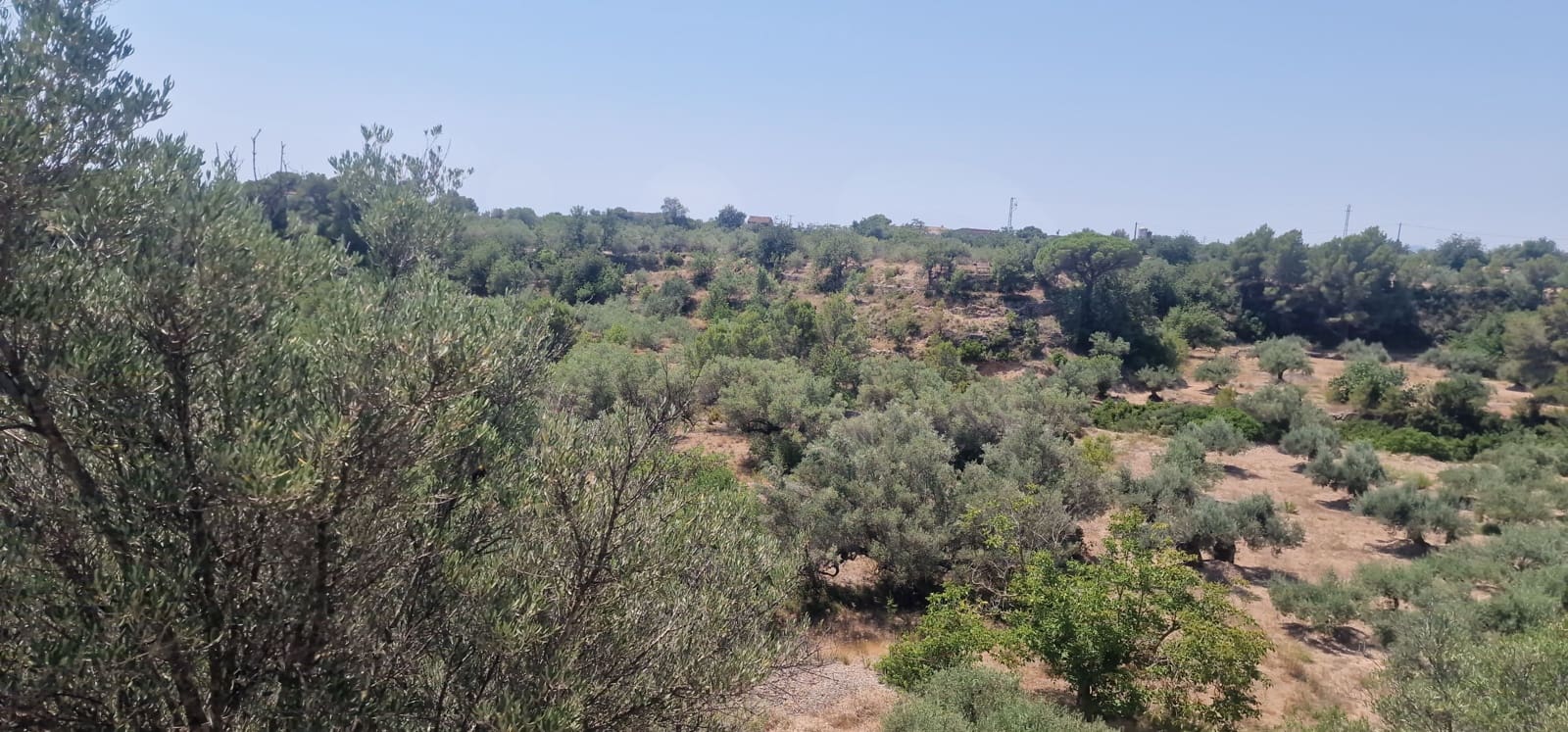 Finca/Herregård til salgs i L'Ampolla - € 160 000 (Ref: 9988322)