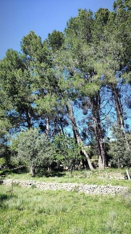 Terreno Non Edificato in vendita in Alicante città - 130.000 € (Rif: 9988325)