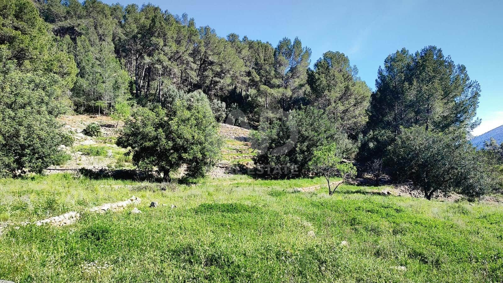 Teren niezagospodarowany na sprzedaż w Miasto Alicante / Alacant - 130 000 € (Ref: 9988325)