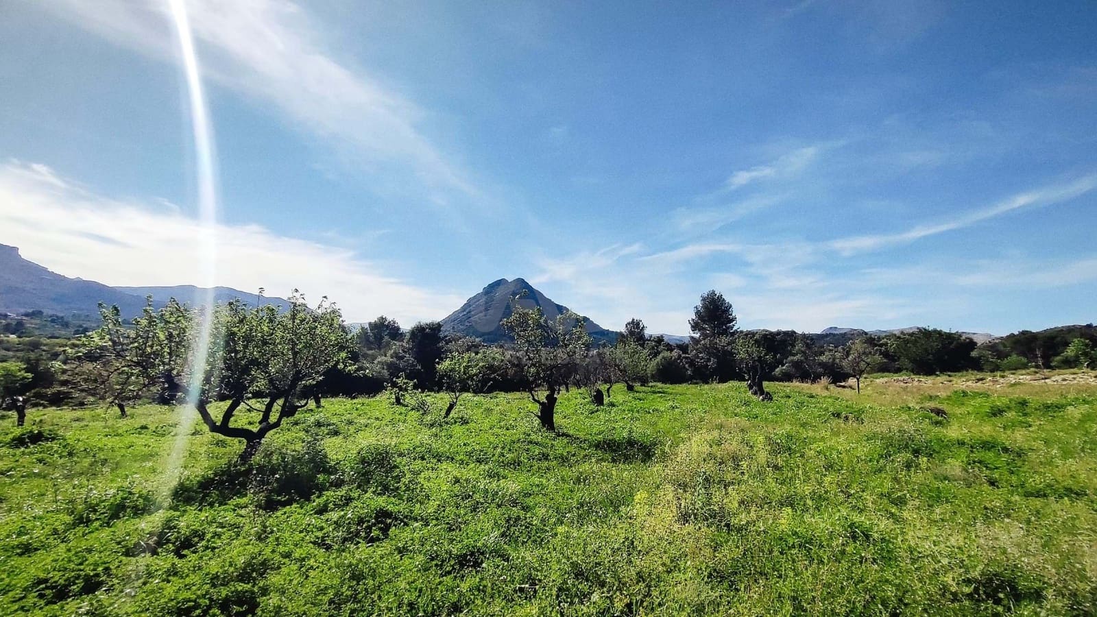 Teren niezagospodarowany na sprzedaż w Miasto Alicante / Alacant - 130 000 € (Ref: 9988325)