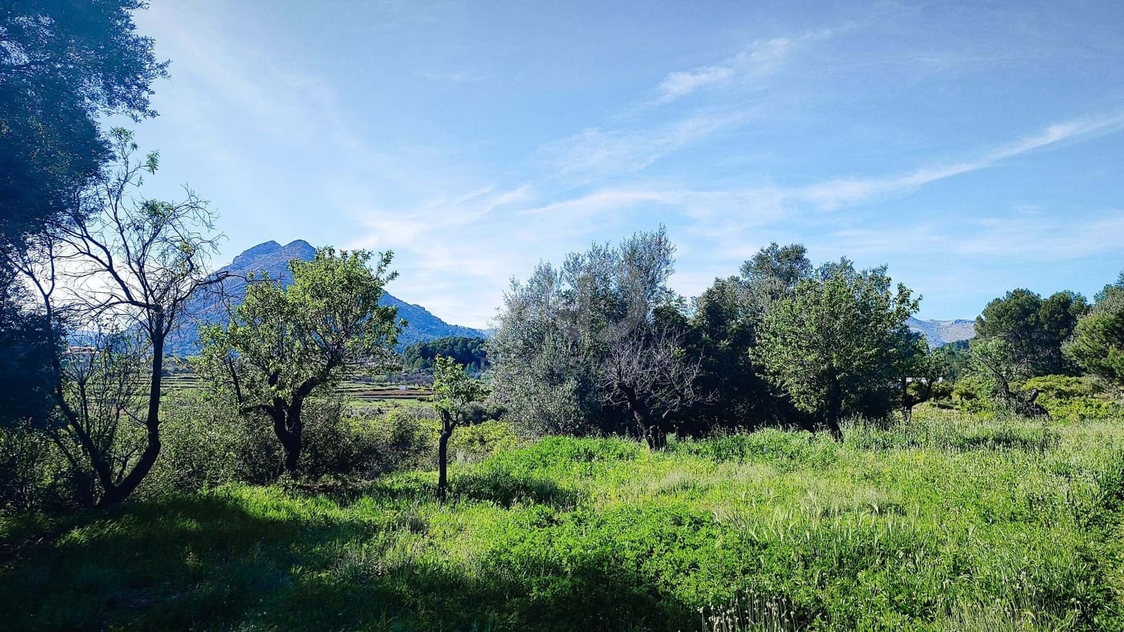 Teren niezagospodarowany na sprzedaż w Miasto Alicante / Alacant - 130 000 € (Ref: 9988325)