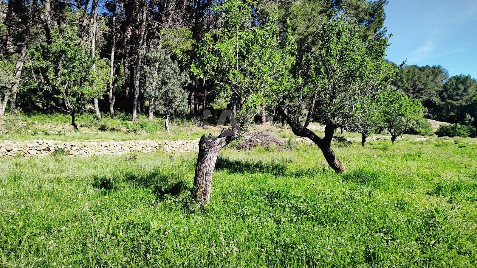 Teren niezagospodarowany na sprzedaż w Miasto Alicante / Alacant - 130 000 € (Ref: 9988325)