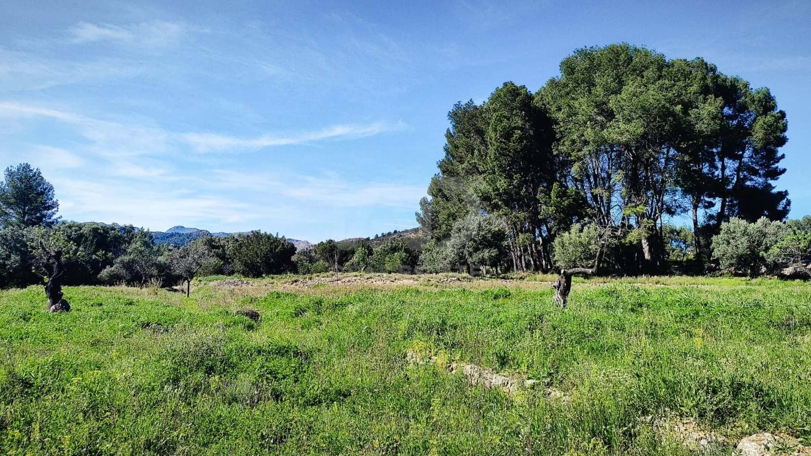 Teren niezagospodarowany na sprzedaż w Miasto Alicante / Alacant - 130 000 € (Ref: 9988325)