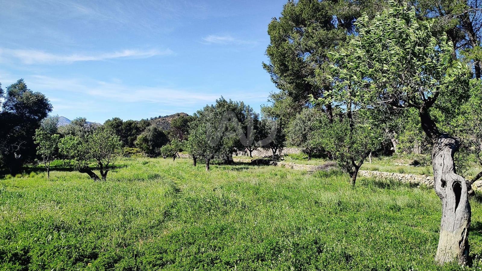 Teren niezagospodarowany na sprzedaż w Miasto Alicante / Alacant - 130 000 € (Ref: 9988325)