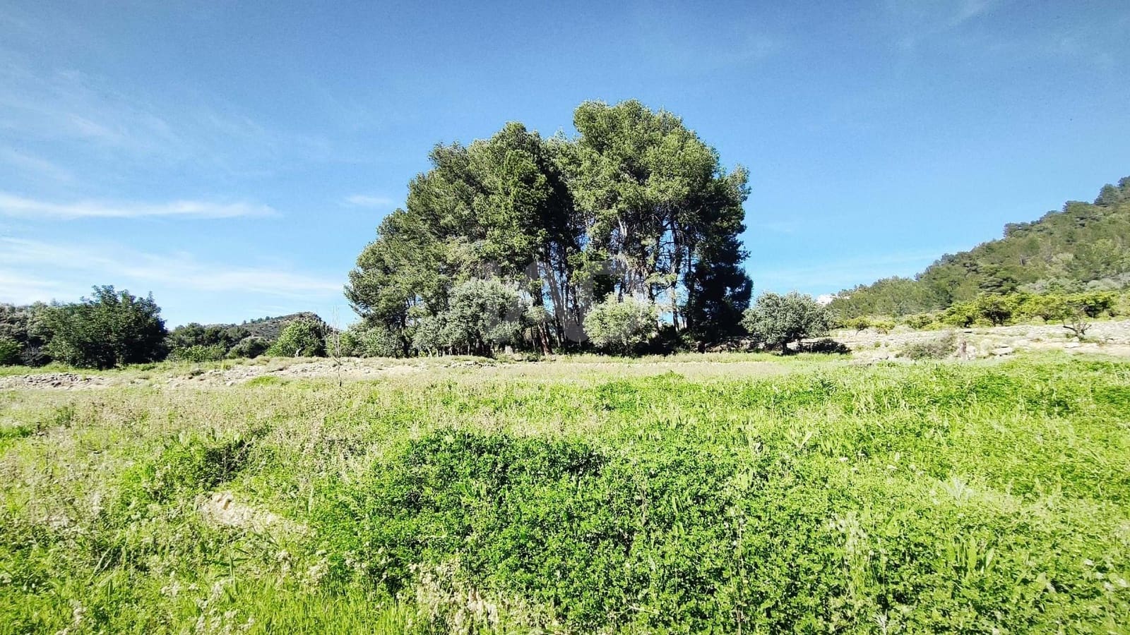 Teren niezagospodarowany na sprzedaż w Miasto Alicante / Alacant - 130 000 € (Ref: 9988325)