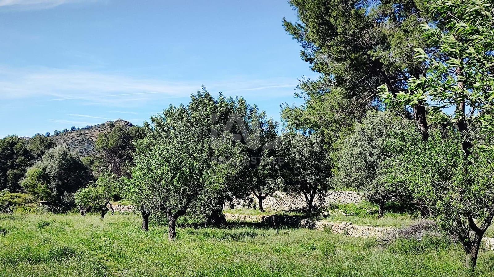 Teren niezagospodarowany na sprzedaż w Miasto Alicante / Alacant - 130 000 € (Ref: 9988325)
