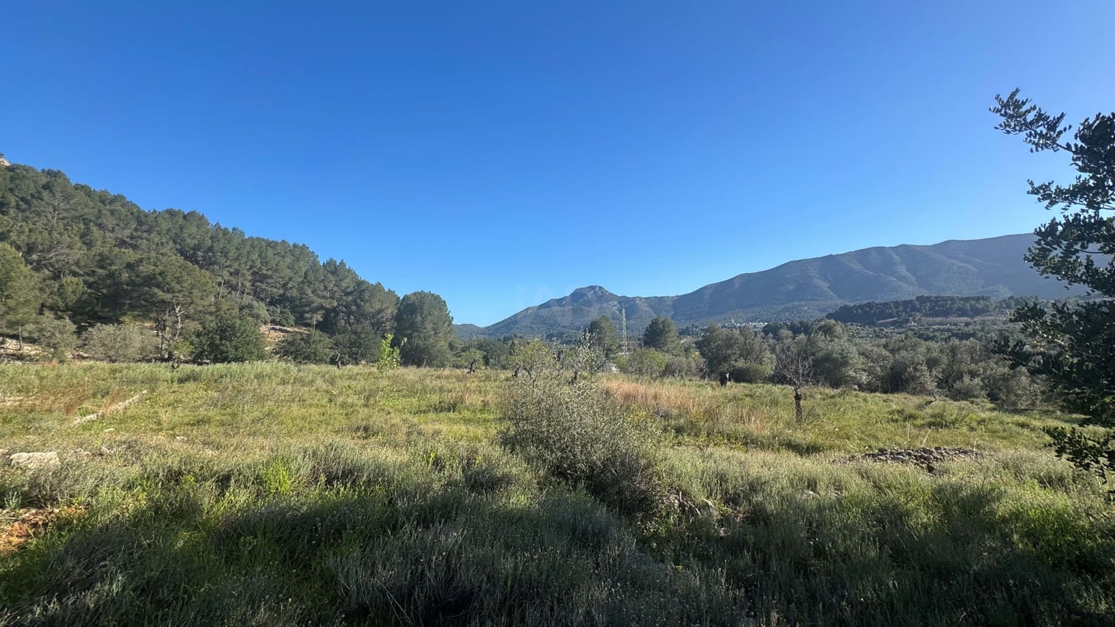 Teren niezagospodarowany na sprzedaż w Miasto Alicante / Alacant - 130 000 € (Ref: 9988325)