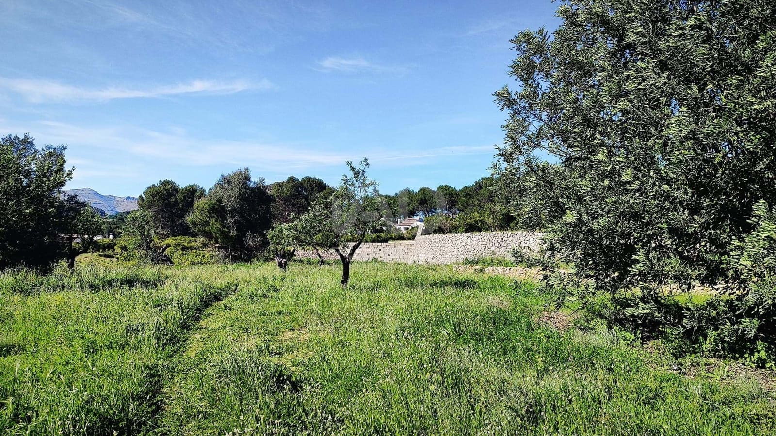 Teren niezagospodarowany na sprzedaż w Miasto Alicante / Alacant - 130 000 € (Ref: 9988325)