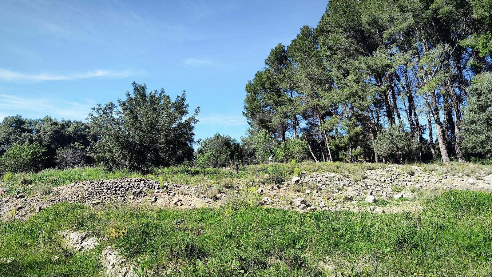 Teren niezagospodarowany na sprzedaż w Miasto Alicante / Alacant - 130 000 € (Ref: 9988325)