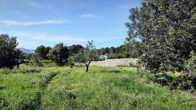 Terreno Non Edificato in vendita in Alicante città - 130.000 € (Rif: 9988325)