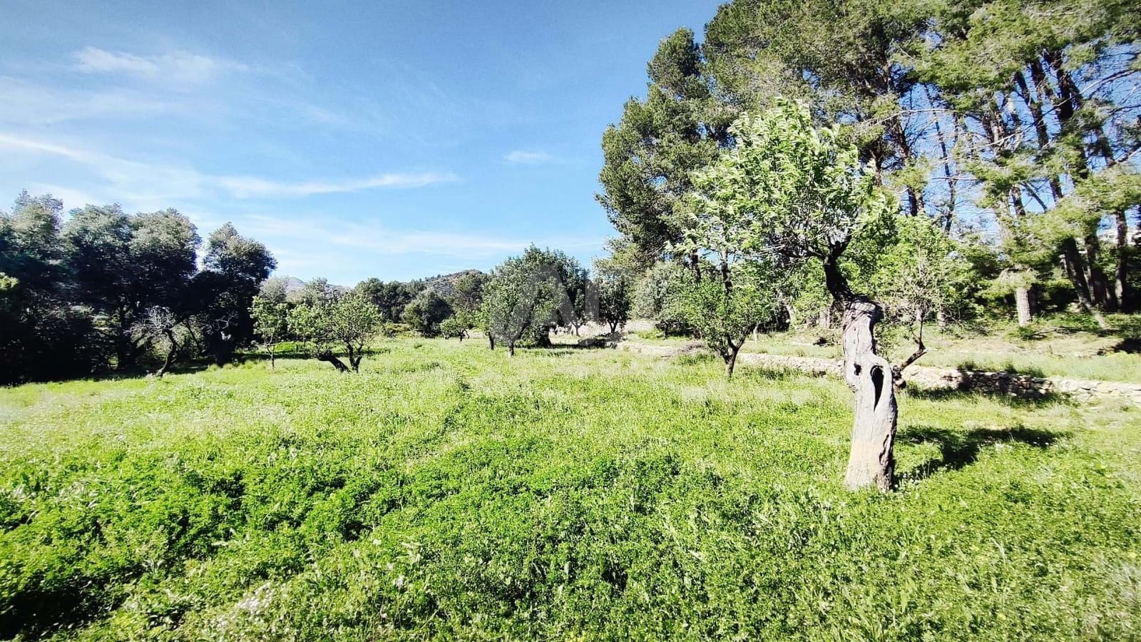 Teren niezagospodarowany na sprzedaż w Miasto Alicante / Alacant - 130 000 € (Ref: 9988325)