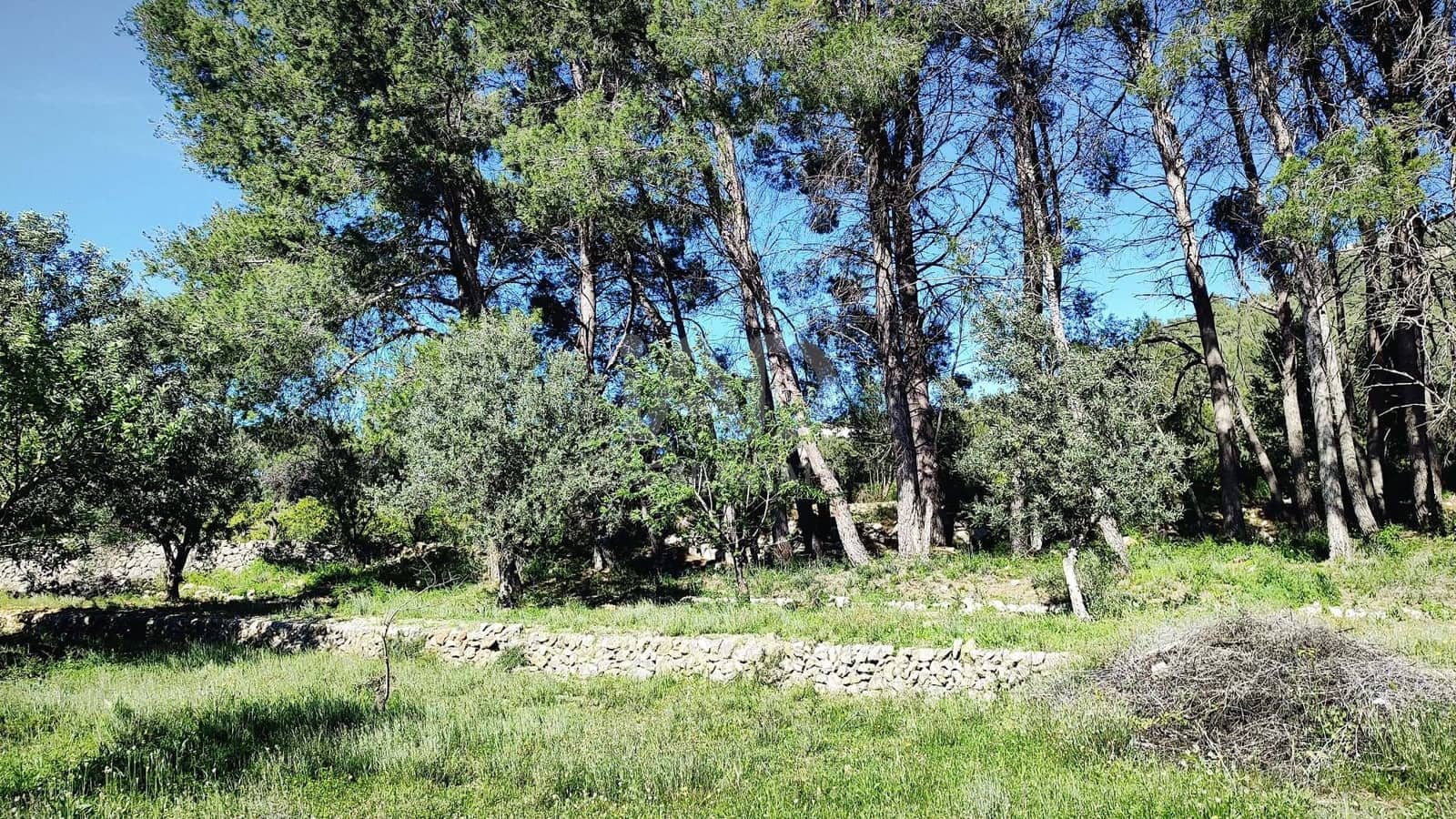 Teren niezagospodarowany na sprzedaż w Miasto Alicante / Alacant - 130 000 € (Ref: 9988325)