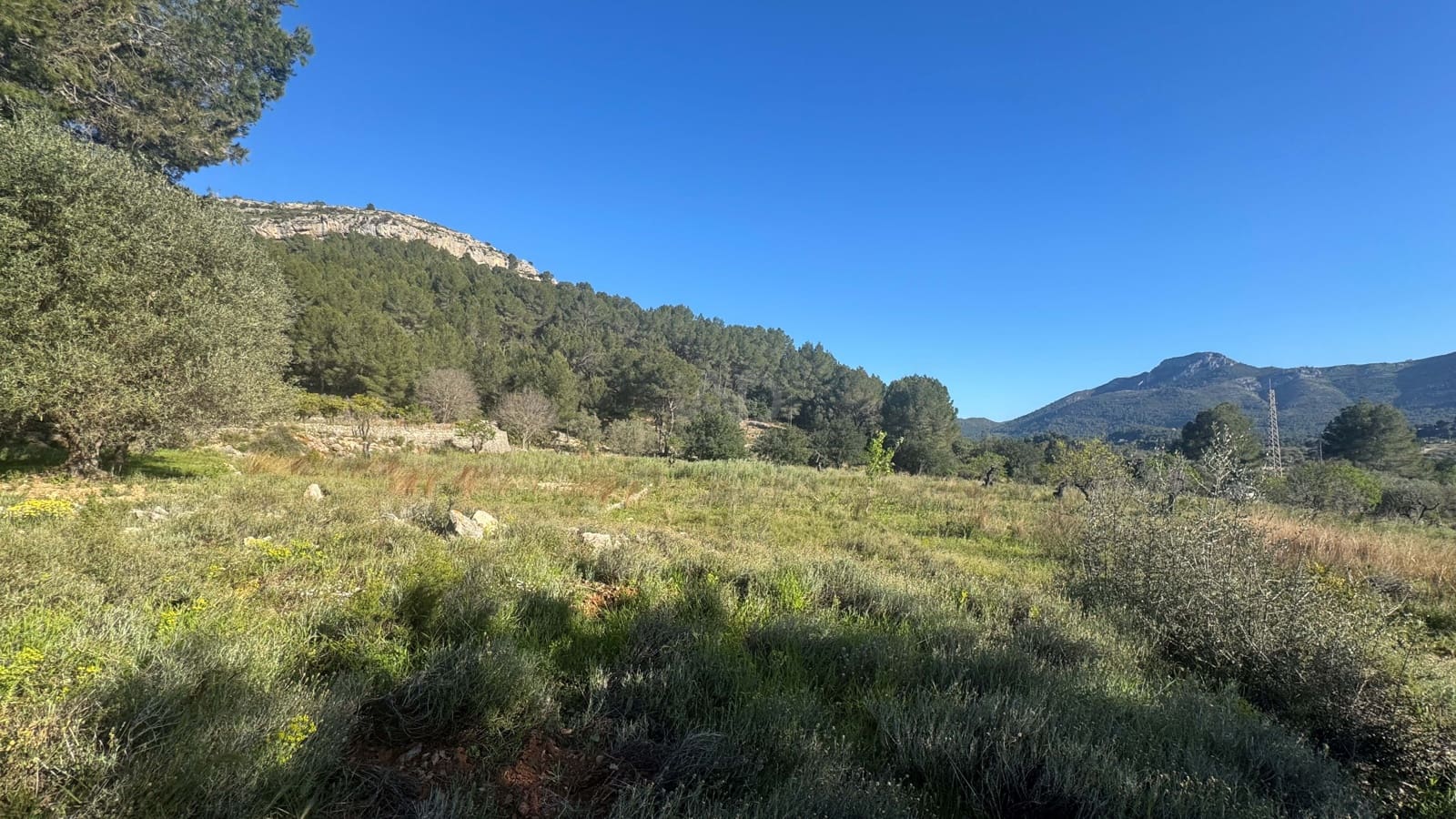 Teren niezagospodarowany na sprzedaż w Miasto Alicante / Alacant - 130 000 € (Ref: 9988325)