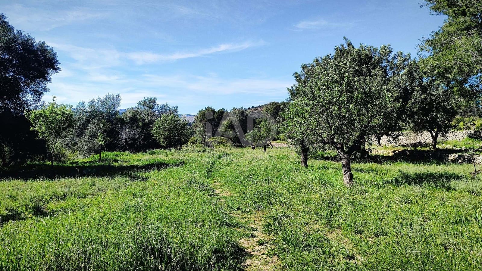 Teren niezagospodarowany na sprzedaż w Miasto Alicante / Alacant - 130 000 € (Ref: 9988325)