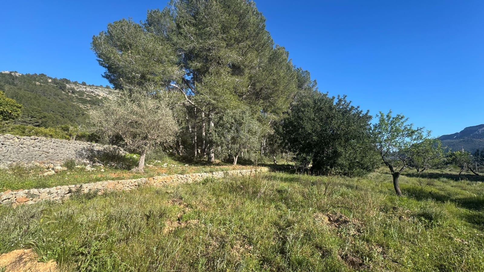 Teren niezagospodarowany na sprzedaż w Miasto Alicante / Alacant - 130 000 € (Ref: 9988325)