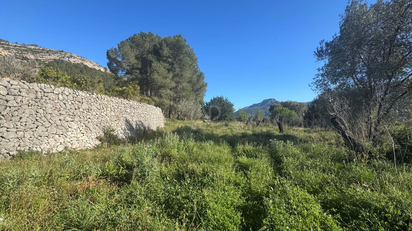 Teren niezagospodarowany na sprzedaż w Miasto Alicante / Alacant - 130 000 € (Ref: 9988325)