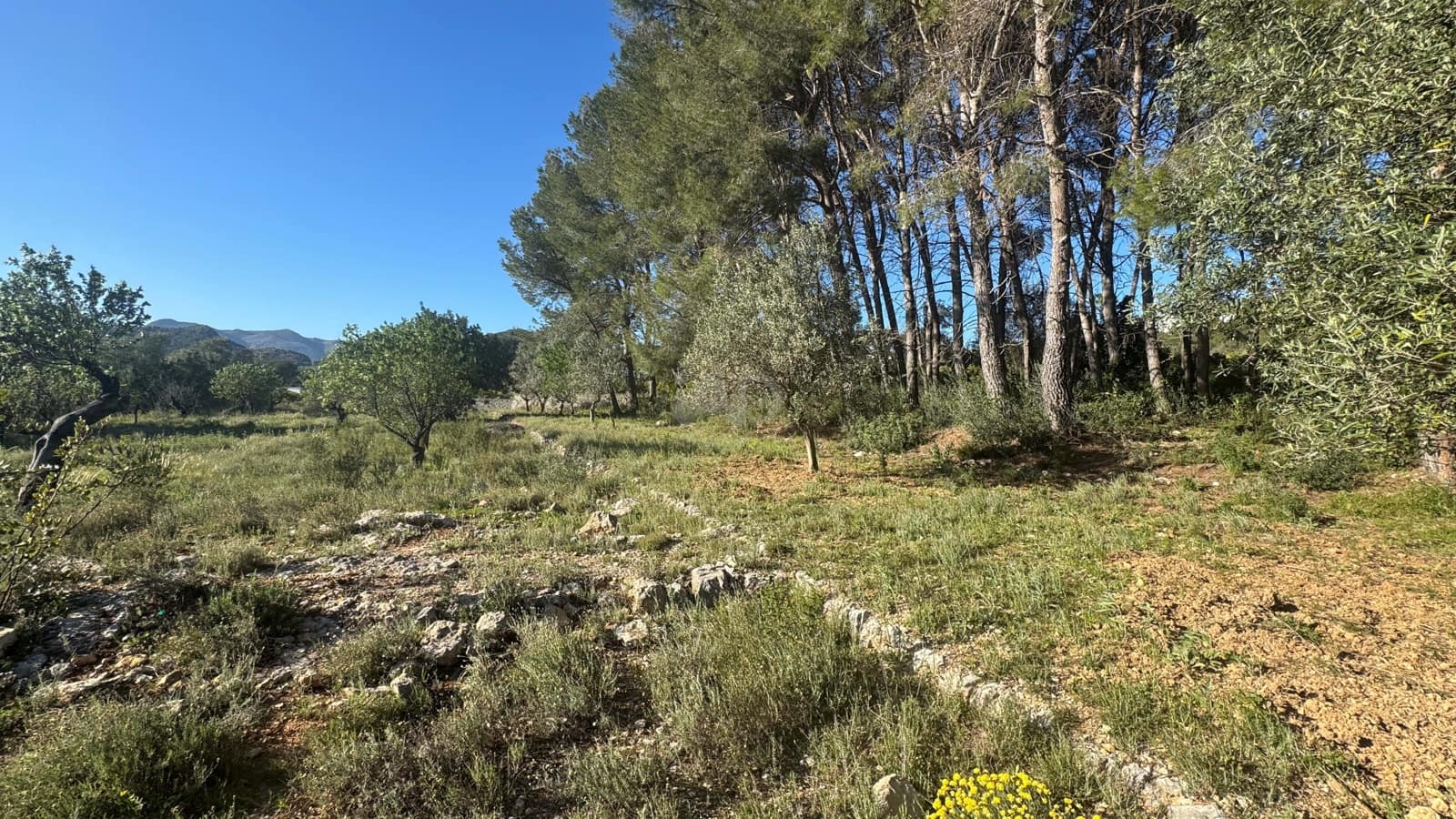 Teren niezagospodarowany na sprzedaż w Miasto Alicante / Alacant - 130 000 € (Ref: 9988325)