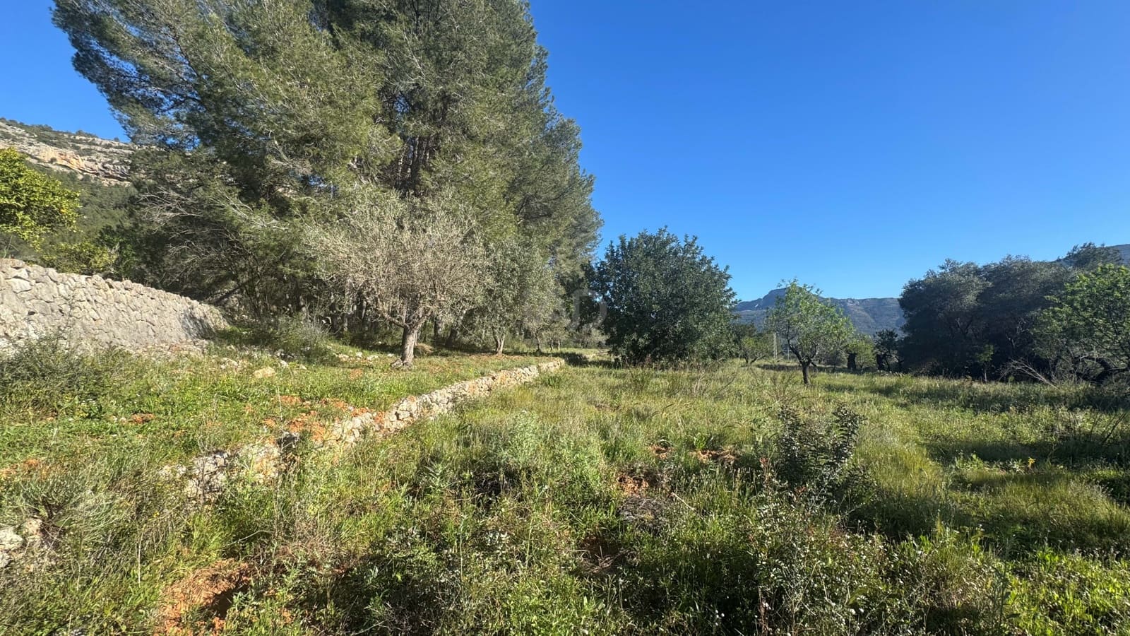 Teren niezagospodarowany na sprzedaż w Miasto Alicante / Alacant - 130 000 € (Ref: 9988325)