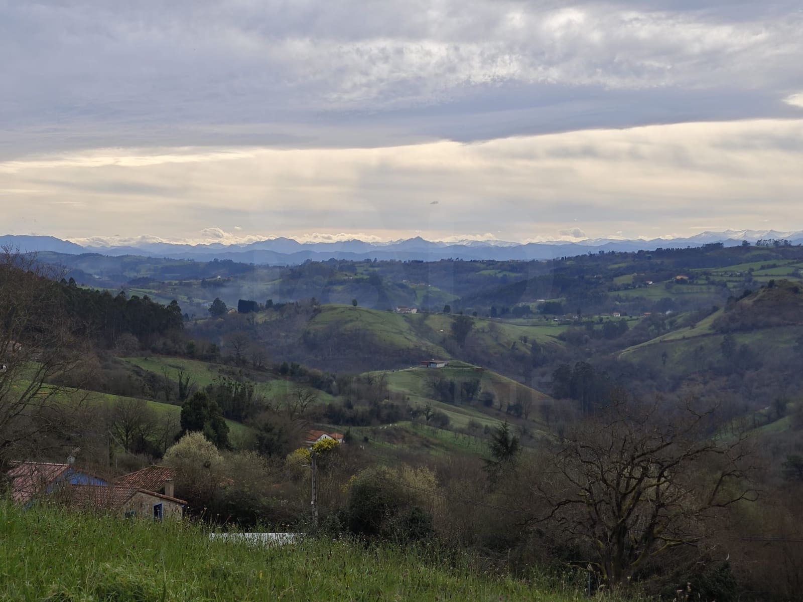 Undeveloped Land for sale in Gijon - € 85,000 (Ref: 9988328)