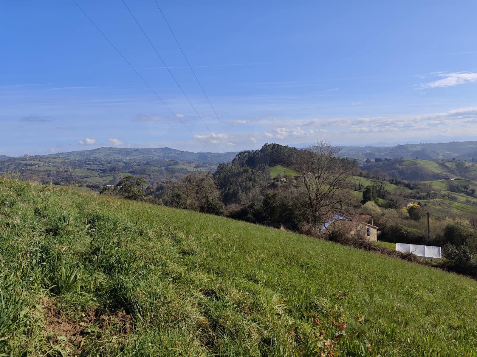 Undeveloped Land for sale in Gijon - € 85,000 (Ref: 9988328)