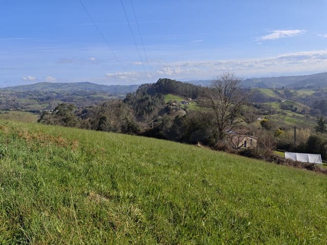 Terreno Non Edificato in vendita in Gijón - 85.000 € (Rif: 9988328)