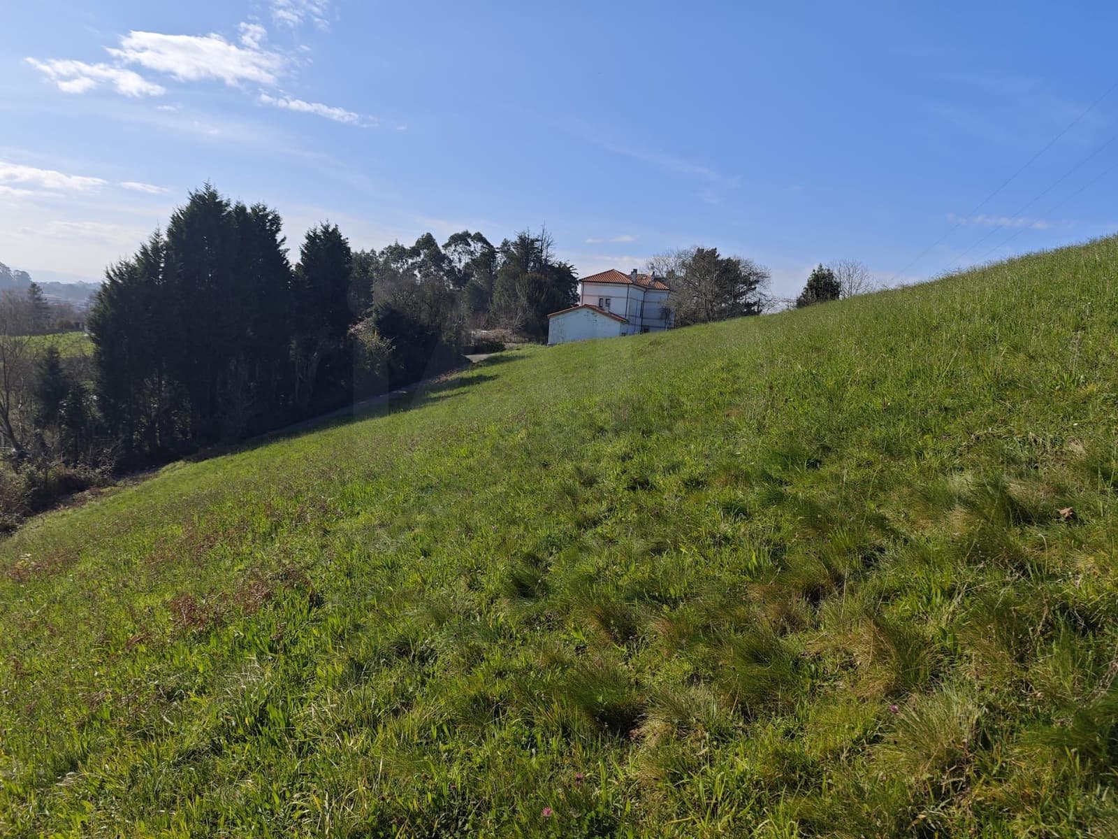 Undeveloped Land for sale in Gijon - € 85,000 (Ref: 9988328)