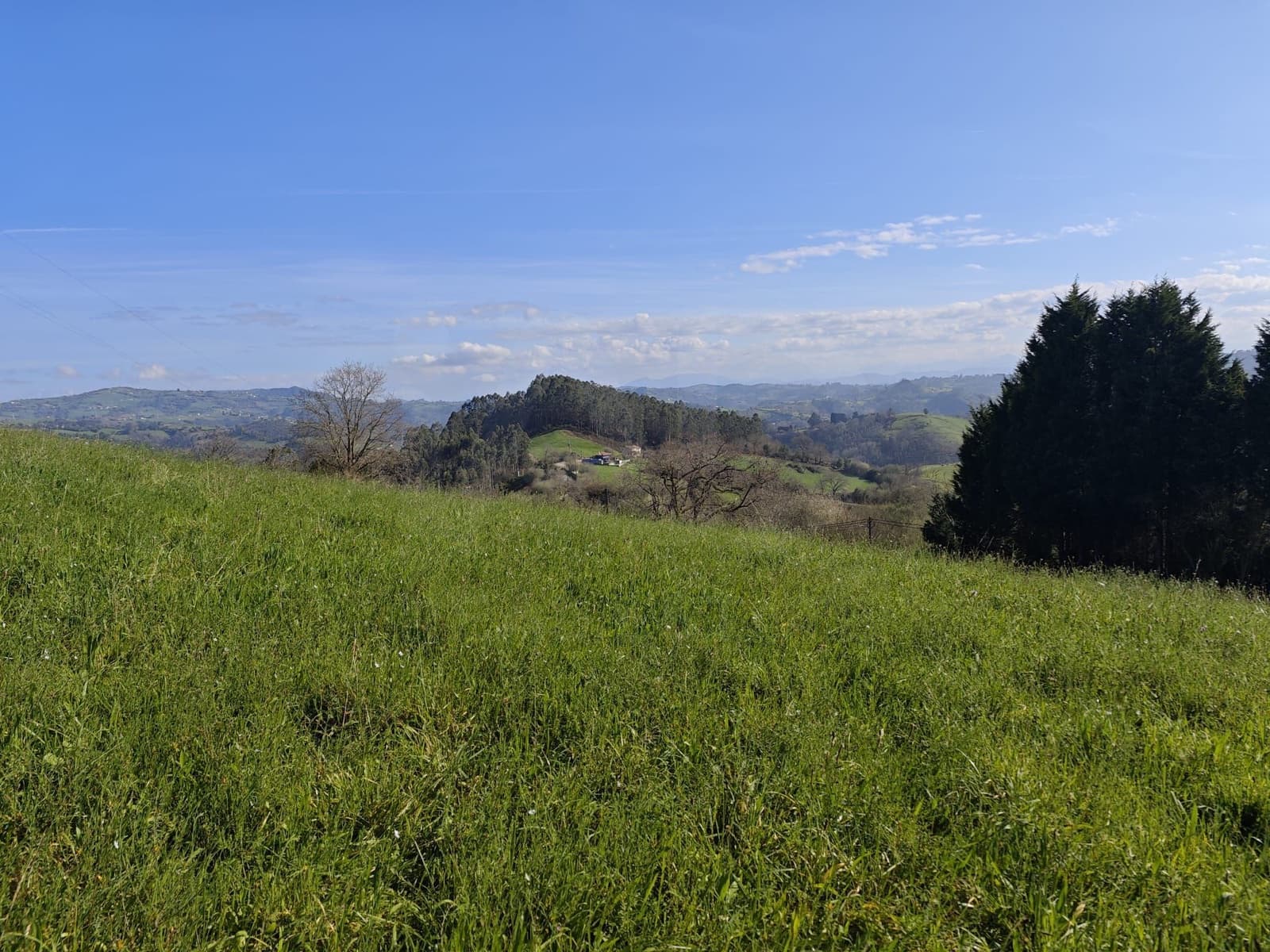Undeveloped Land for sale in Gijon - € 85,000 (Ref: 9988328)