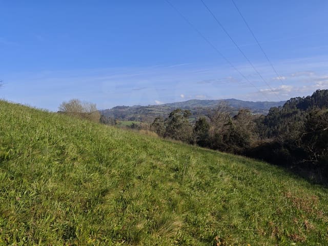 Terreno Non Edificato in vendita in Gijón - 85.000 € (Rif: 9988328)