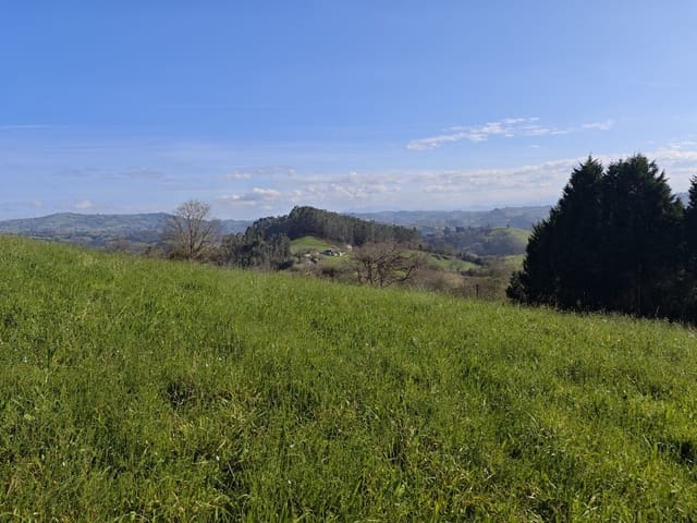 Terreno Non Edificato in vendita in Gijón - 85.000 € (Rif: 9988328)