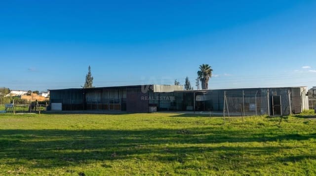 Grunde uden byggetilladelser til salg i Huelva by - € 85.000 (Ref: 9988354)