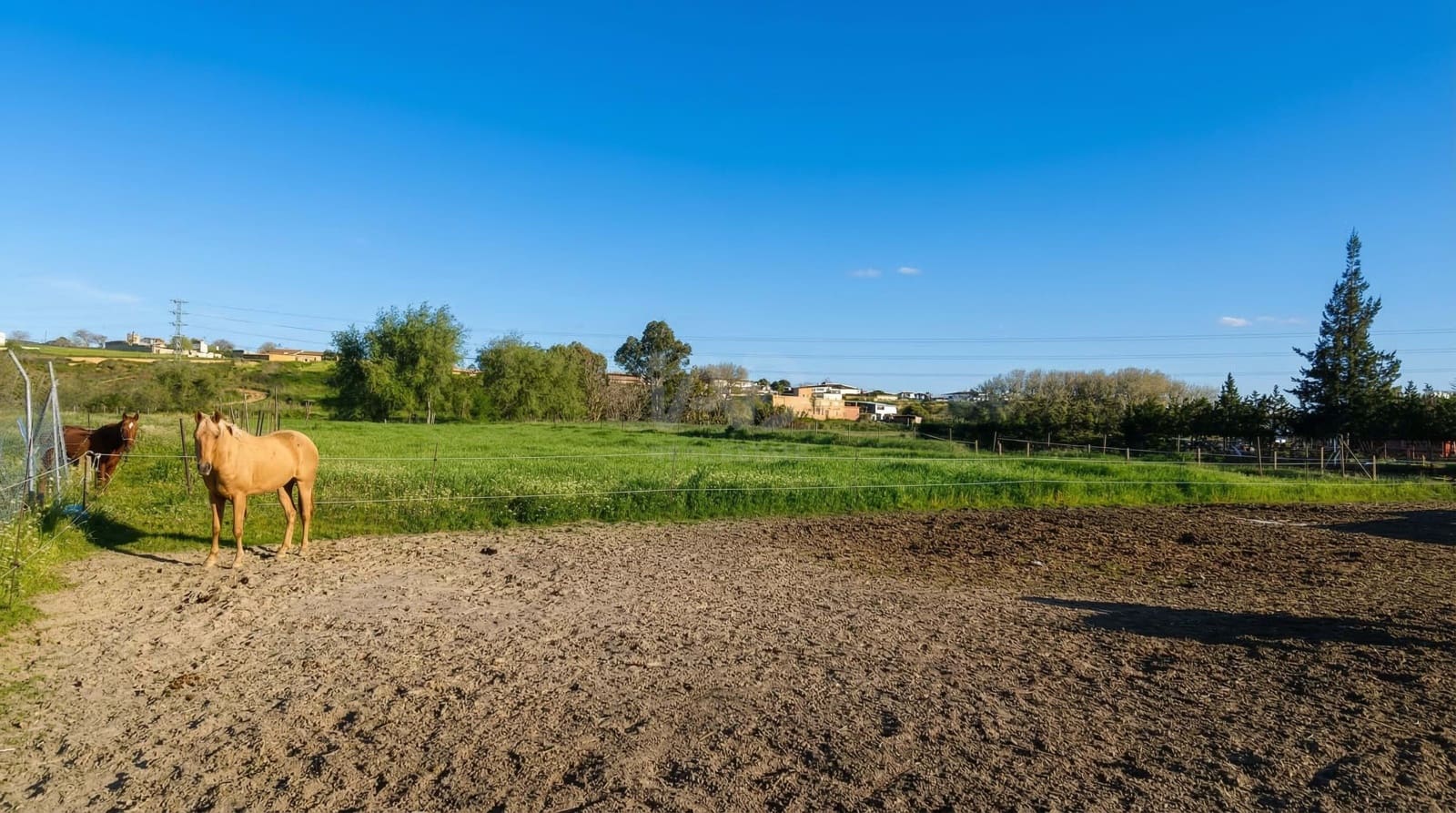 Grond te koop in Huelva stad - € 85.000 (Ref: 9988354)