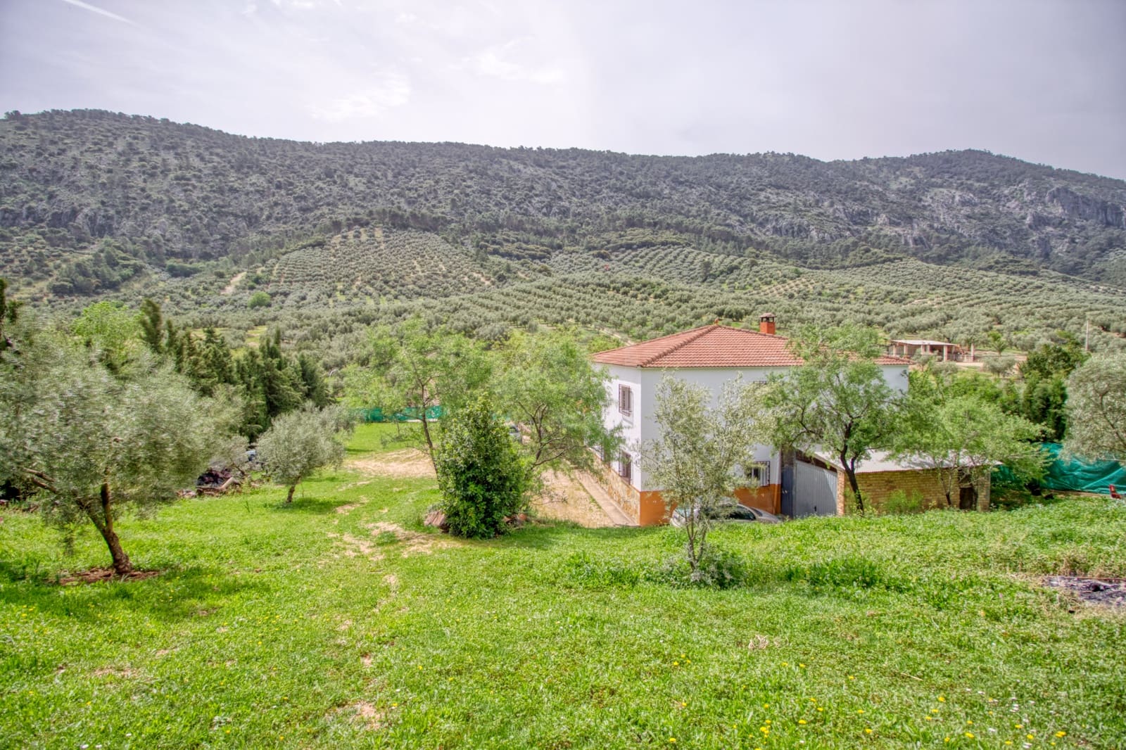 5 slaapkamer Huis te koop in Cordoba stad met garage - € 275.000 (Ref: 9988362)