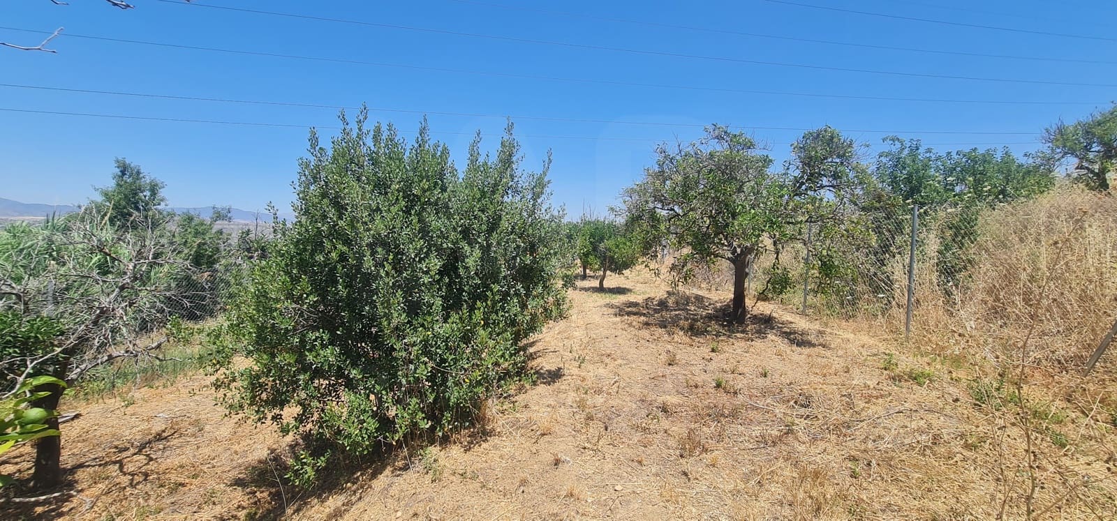 Teren niezagospodarowany na sprzedaż w Alhaurin el Grande - 95 000 € (Ref: 9988363)