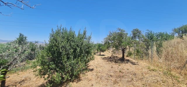 Grond te koop in Alhaurín el Grande - € 95.000 (Ref: 9988363)
