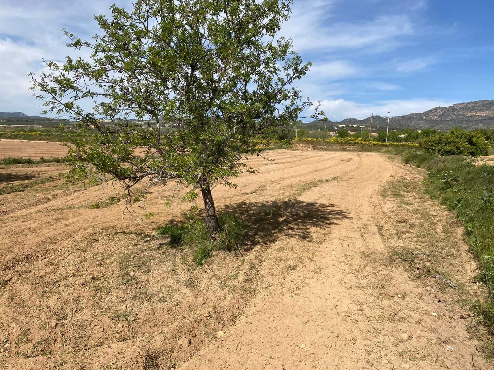 Finca/Casa Rural de 4 habitaciones en Gea y Truyols en venta con garaje - 170.000 € (Ref: 9988389)