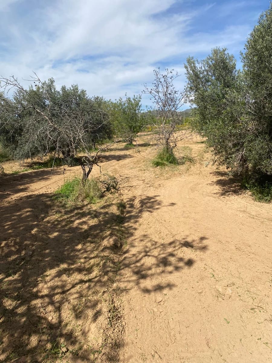 Finca/Casa Rural de 4 habitaciones en Gea y Truyols en venta con garaje - 170.000 € (Ref: 9988389)