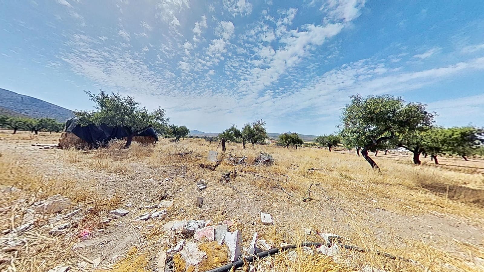 Finca/Casa Rural de 3 habitaciones en Alicante / Alacant ciudad en venta - 220.000 € (Ref: 9988394)