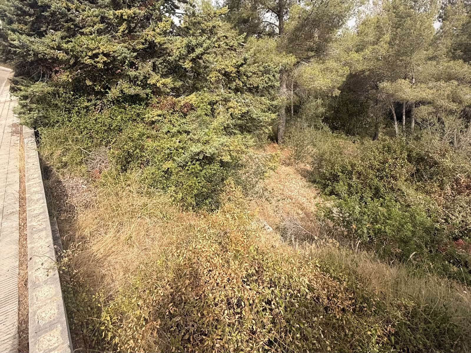 Bauplatz zu verkaufen in Tarragona Stadt - 48.000 € (Ref: 9988399)