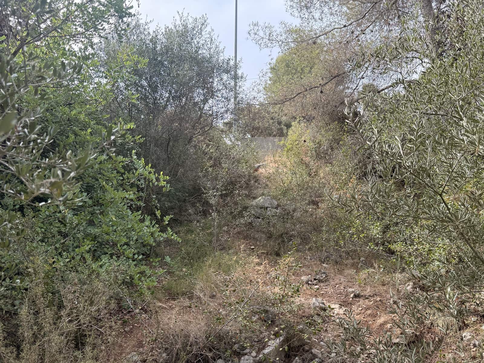 Bauplatz zu verkaufen in Tarragona Stadt - 48.000 € (Ref: 9988399)