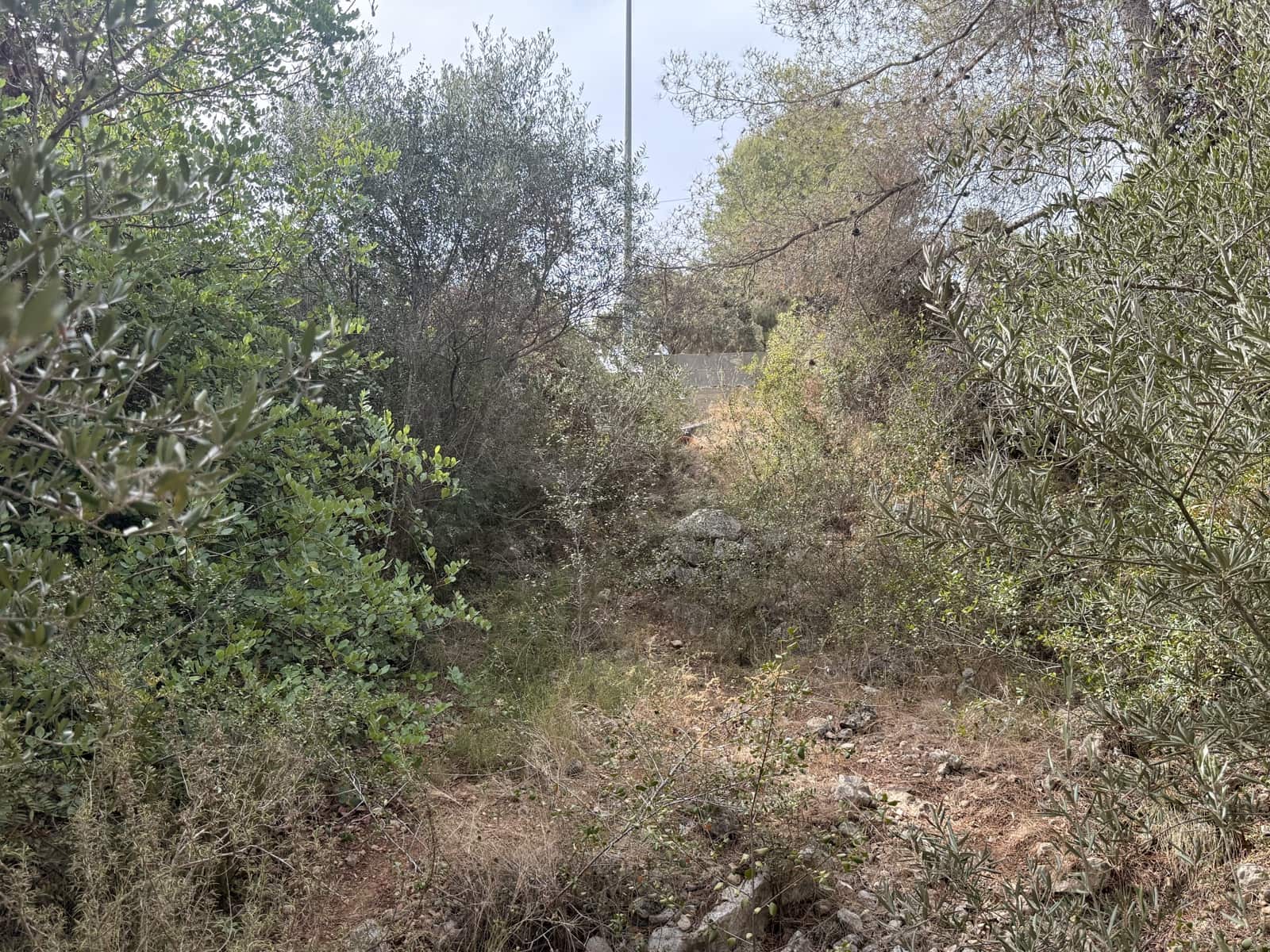 Bauplatz zu verkaufen in Tarragona Stadt - 48.000 € (Ref: 9988399)
