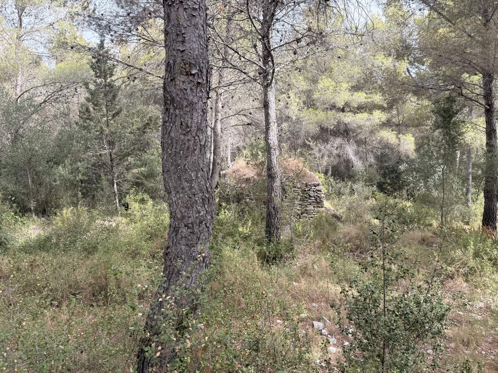 Bauplatz zu verkaufen in Tarragona Stadt - 48.000 € (Ref: 9988399)