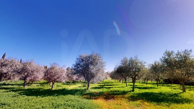 8 soveværelse Villa til salg i Establiments, Palma de Mallorca - € 1.399.000 (Ref: 9988428)