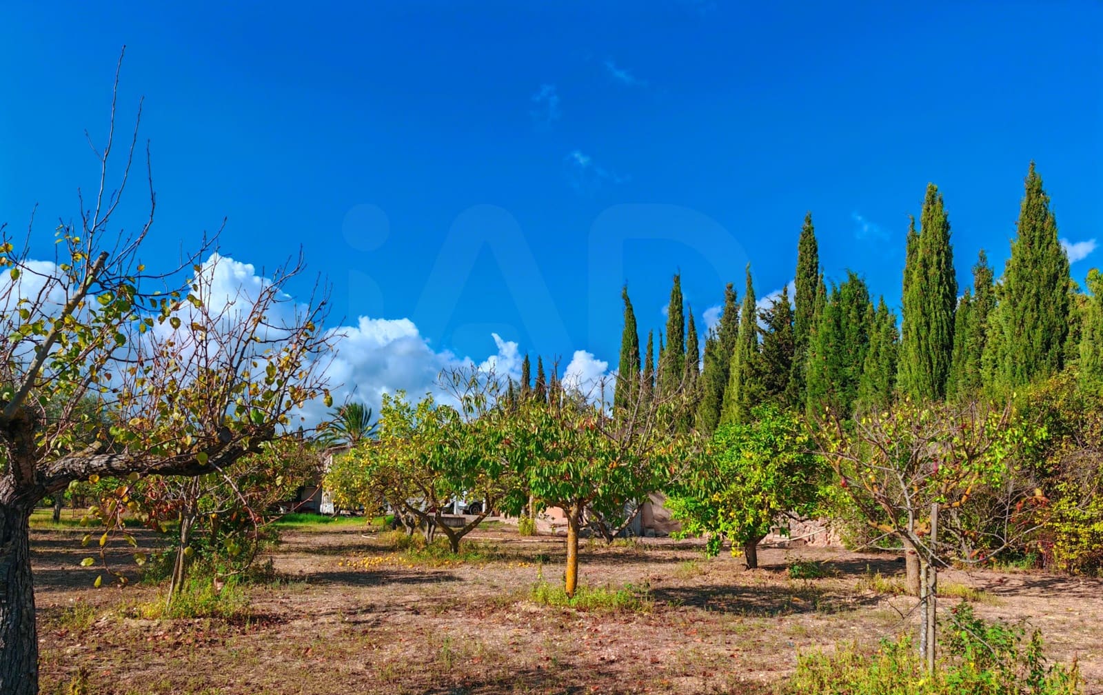 8 makuuhuone Huvila myytävänä paikassa Palma de Mallorca - 1 399 000 € (Ref: 9988428)