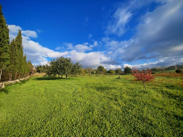 8 soveværelse Villa til salg i Establiments, Palma de Mallorca - € 1.399.000 (Ref: 9988428)