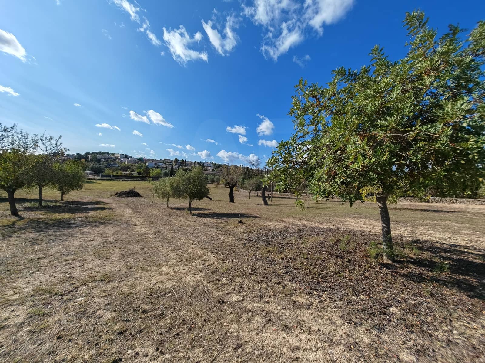 8 makuuhuone Huvila myytävänä paikassa Palma de Mallorca - 1 399 000 € (Ref: 9988428)